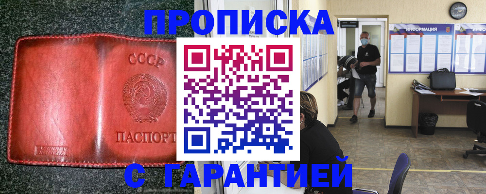 прописка гарантия в Дальнегорске